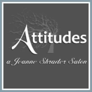 Attitudes Salon