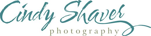 Cindy Shaver Photography