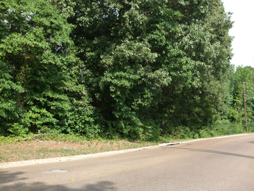 4800 Newson Road Huntsville, AL