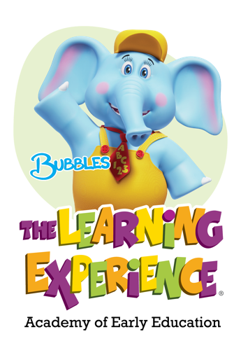 The Learning Experience